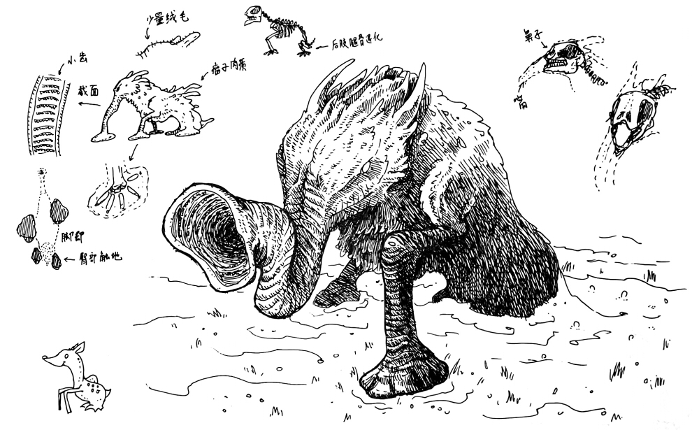 沼泽管吻象.jpg