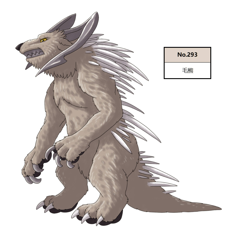 293毛熊2.jpg