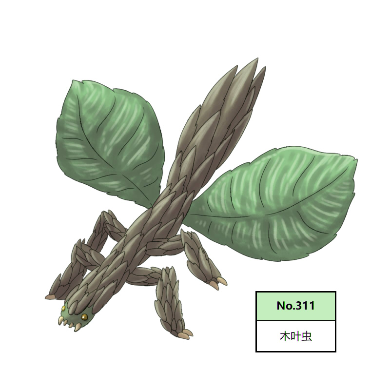 311木叶虫2.jpg