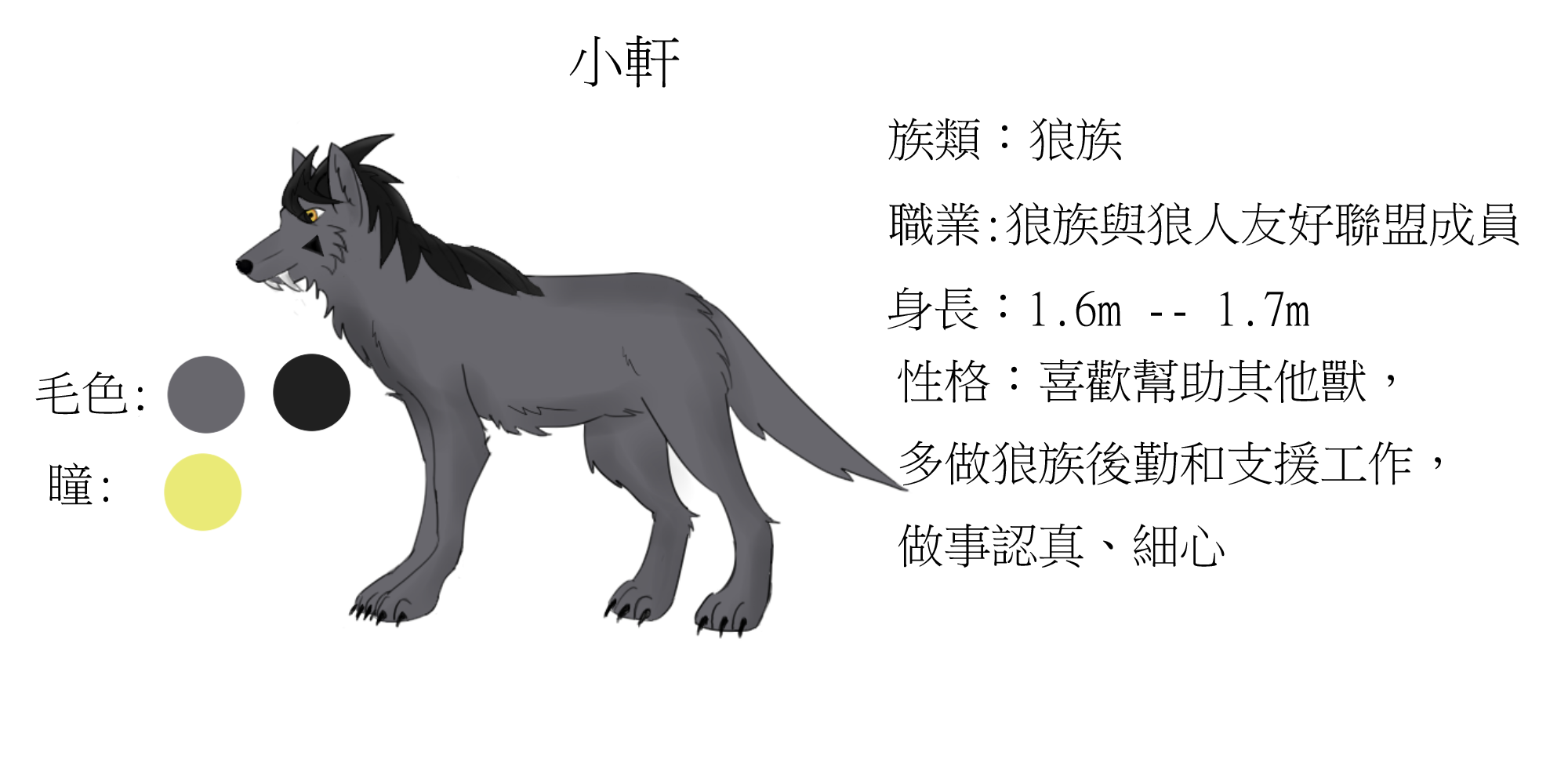 小轩.png