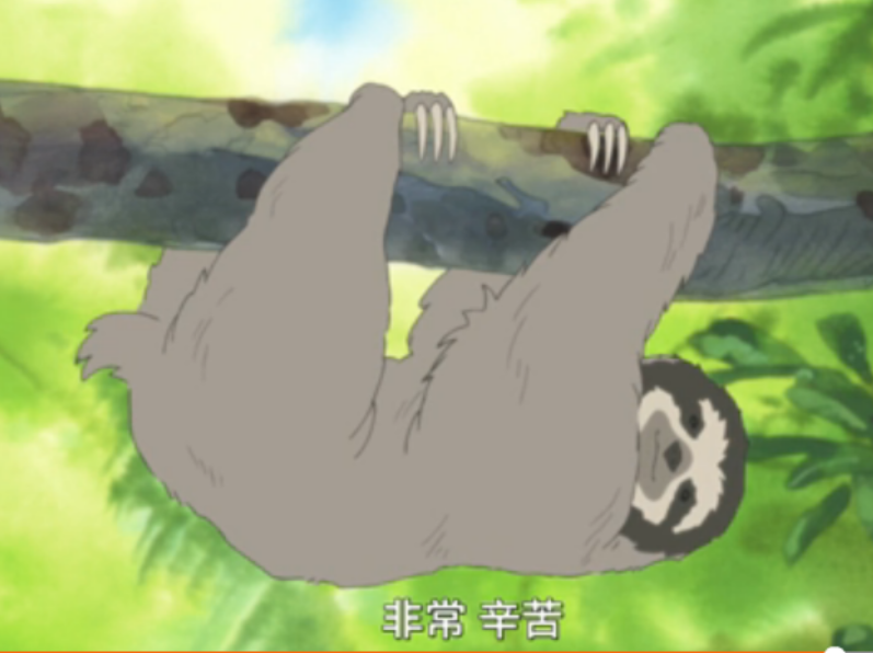 QQ图片20160309124144.png