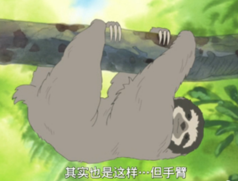 QQ图片20160309124119.png