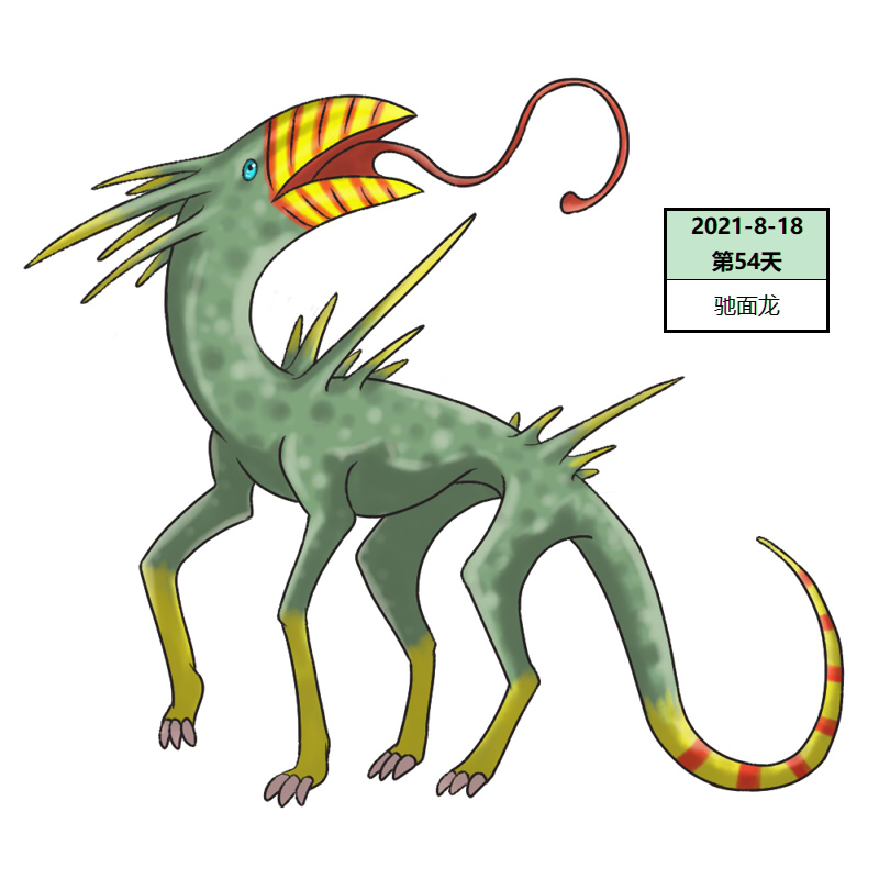 054驰面龙2.jpg