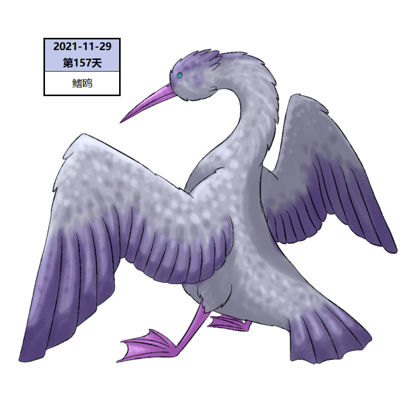 157鳍鸥2.jpg