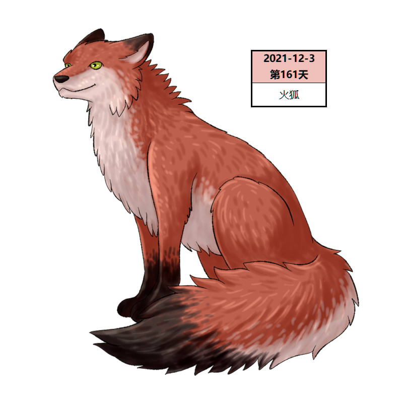 161火狐2.jpg