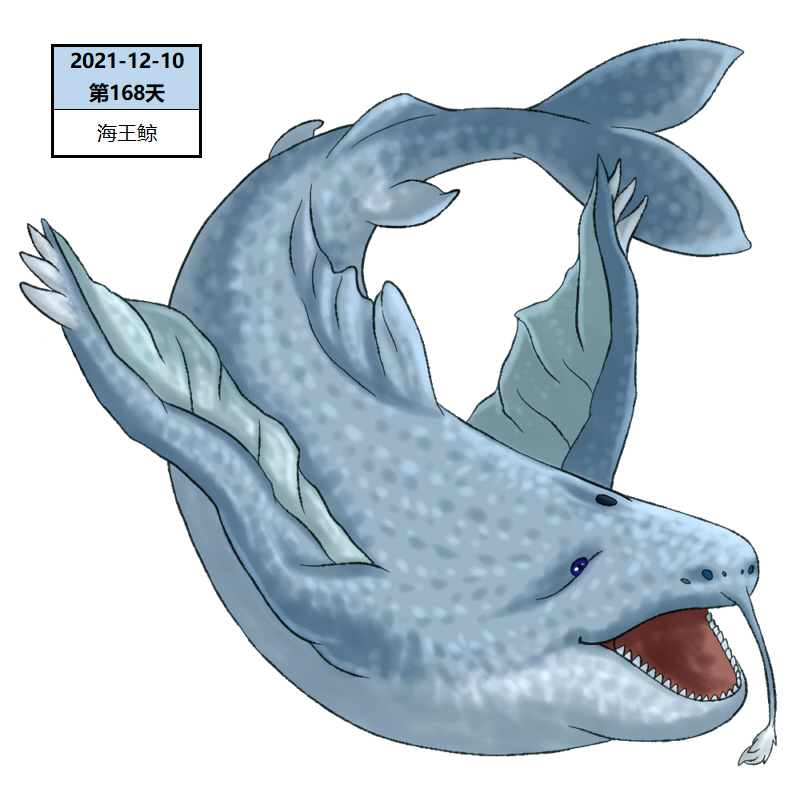 168海王鲸2.jpg