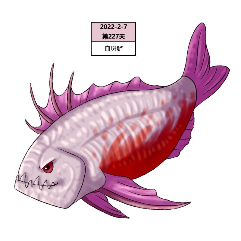 227血斑鲈2.jpg