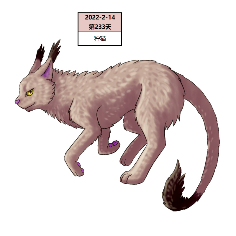 233狞猫2.jpg