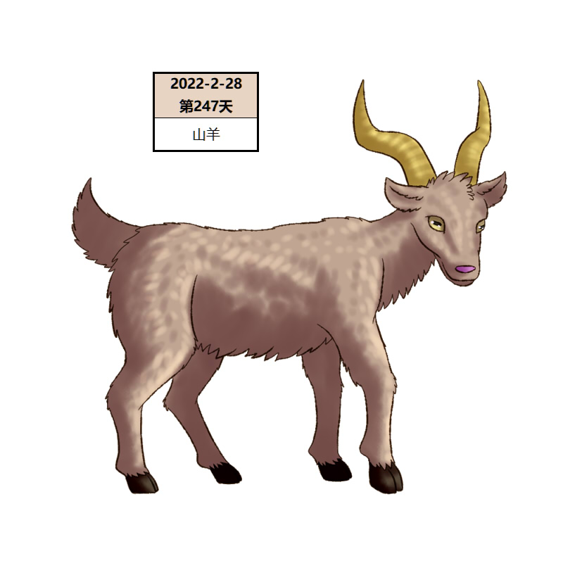 247山羊2.jpg
