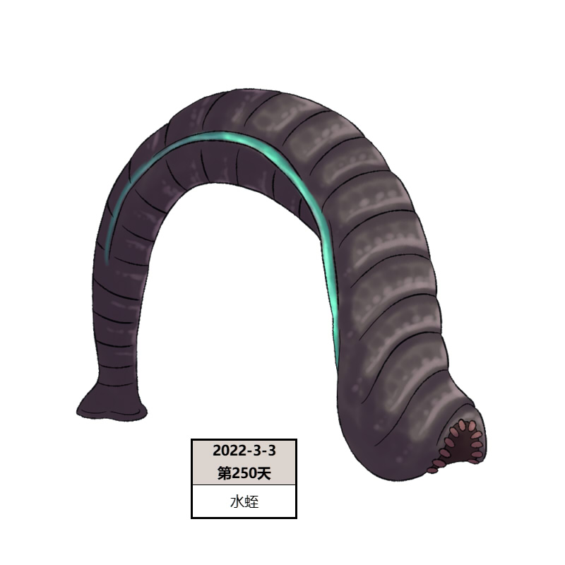 250水蛭2.jpg