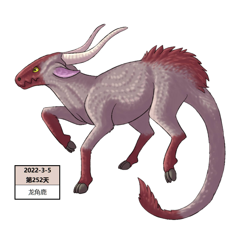 252龙角鹿2.jpg