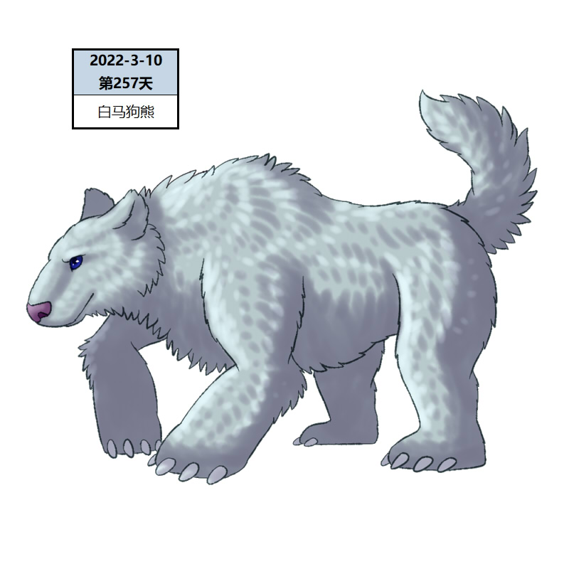 257白马狗熊2.jpg