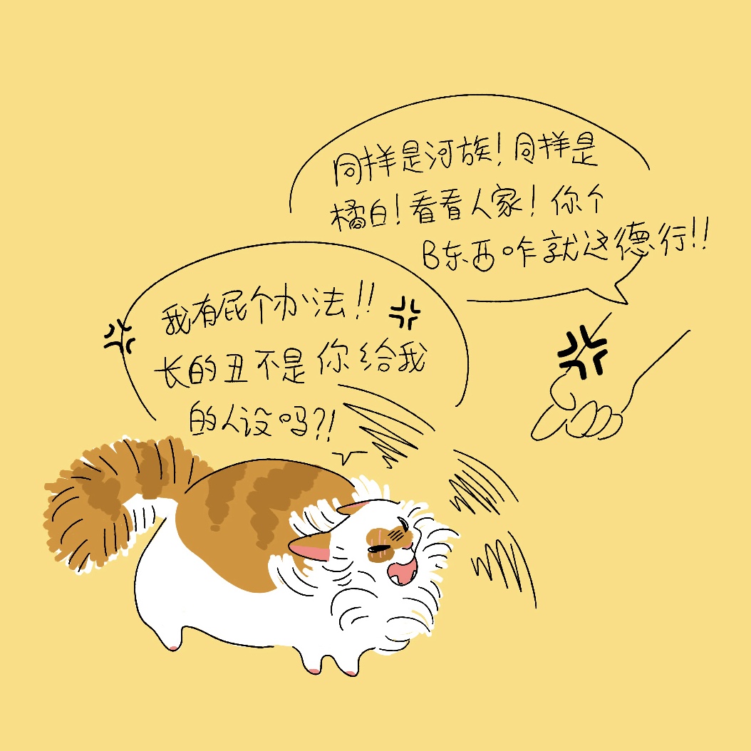 107961E9-BF02-4E3D-92DC-E3F162BE1B19.jpeg