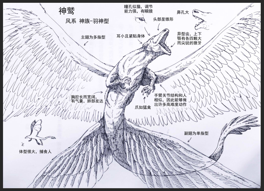 羽_神鹫.jpg