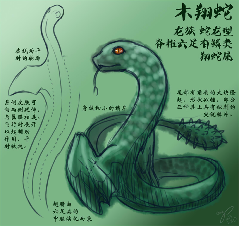 蛇_木翔蛇.jpg